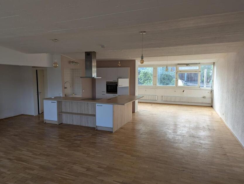 Lichtdurchflutete EinraumWohnung 90 m²