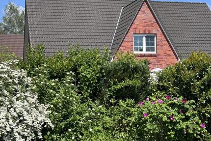 Schöne Obergeschoss in Seehof 2 zimmer