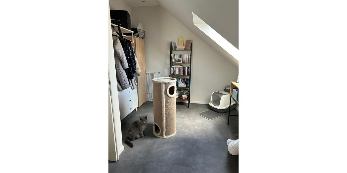 Doppelhaushälfte Hamminkeln - 4 Zimmer, 105 m&sup2;, 1.350&euro; | Angebot:25998365