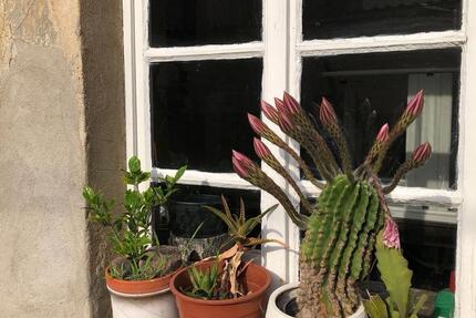 Haus Halle (Saale) - 10 Zimmer, 135 m&sup2;, 400&euro; | Angebot:25616087