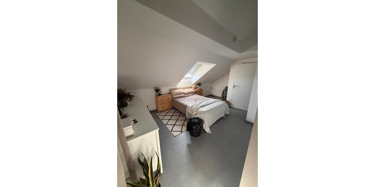 Wohnung zu vermieten 3 zimmer