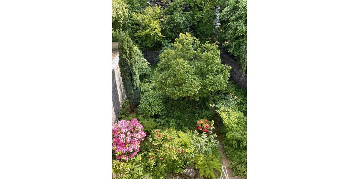 Etagenwohnung Wuppertal Gemarkung Elberfeld - 2 Zimmer, 66 m&sup2;, 448&euro; | Angebot:26692014