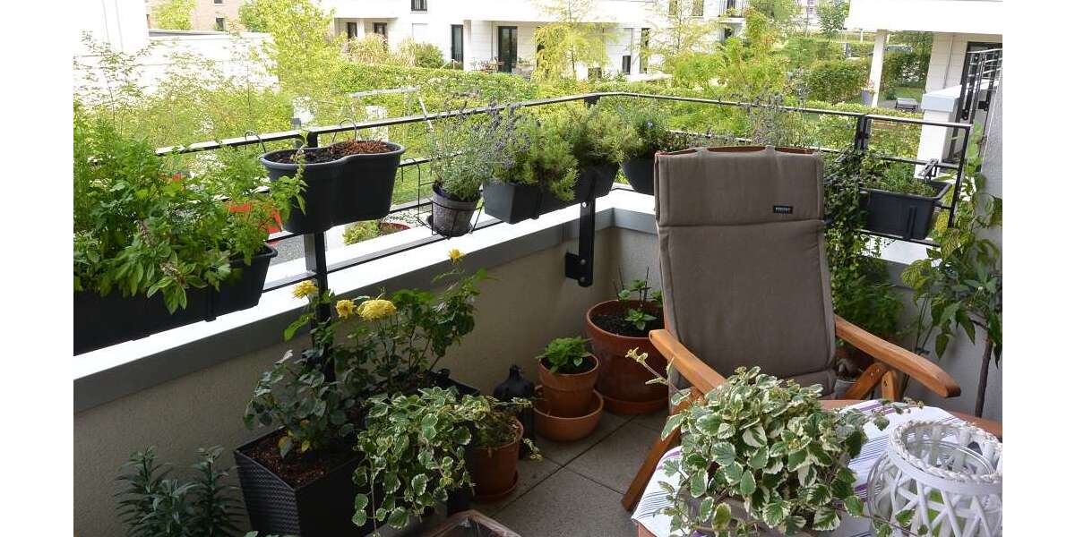 Wohnung zum Mieten in Frankfurt am Main 1.300 € 67 m² 2 zimmer