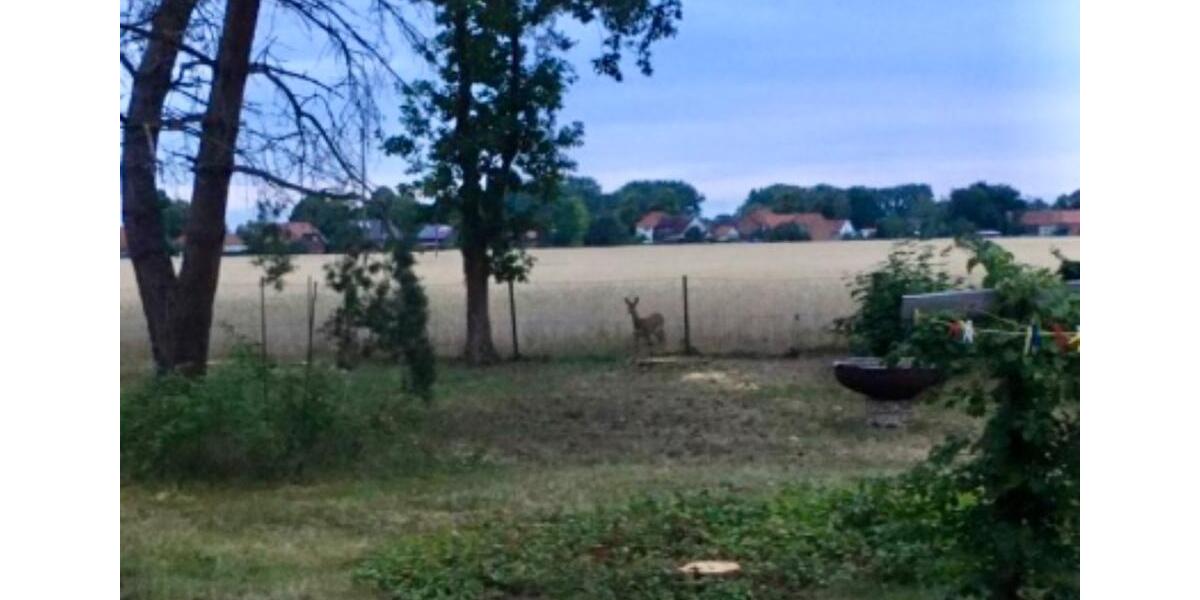 Etagenwohnung Müden (Aller) - 3 Zimmer, 66 m&sup2;, 539&euro; | Angebot:25830431