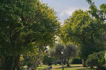 Wohnung Willingshausen - 3 Zimmer, 80 m&sup2;, 760&euro; | Angebot:25046816