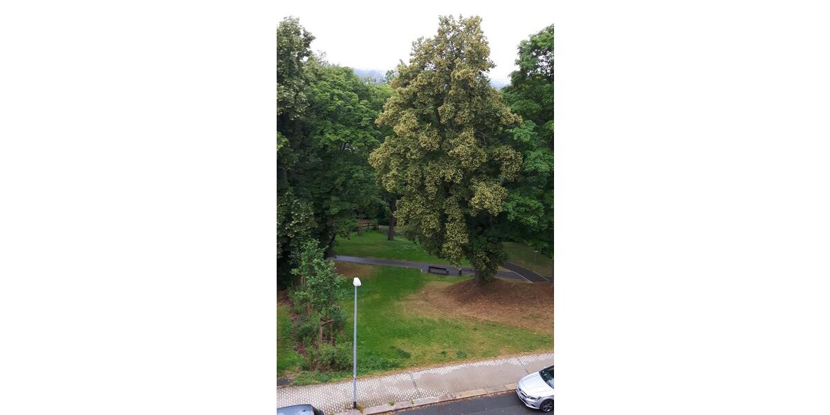 Dachgeschoßwohnung Auerbach/Vogtland Vogtland - 2.5 Zimmer, 59 m&sup2;, 330&euro; | Angebot:23201719