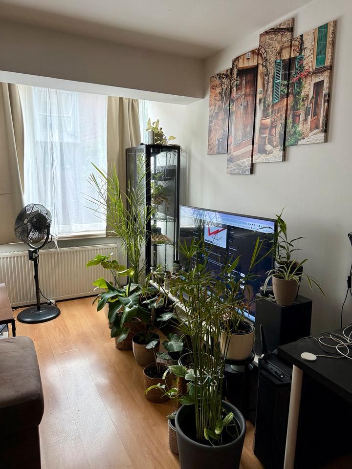 Moderne 2-Zimmerwohnung im Herzen von Neuss (frisch renoviert) zimmer