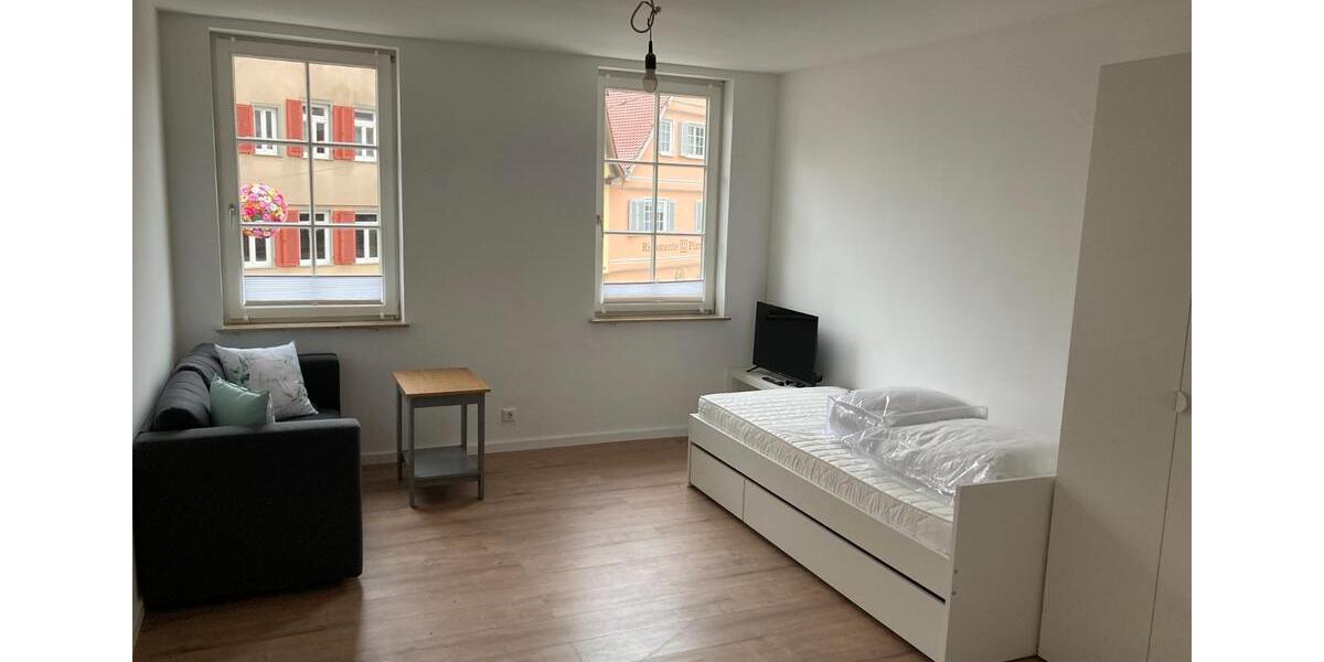 Wohnen auf Zeit Besigheim - 1 Zimmer, 20 m&sup2;, 600&euro; | Angebot:26634762