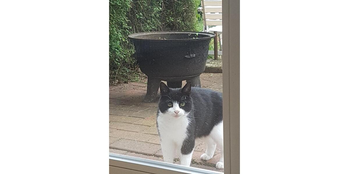 Wohnen auf Zeit Wrist - 5 Zimmer, 120 m&sup2;, 40&euro; | Angebot:21692169