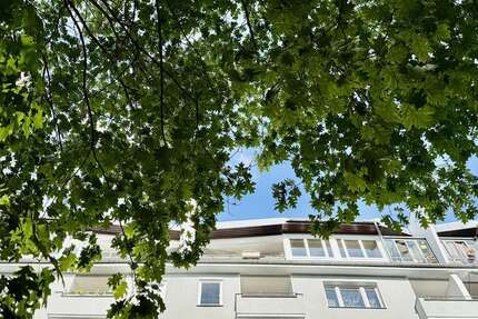 Wohnung Berlin - 1 Zimmer, 33 m&sup2;, 374&euro; | Angebot:26876331