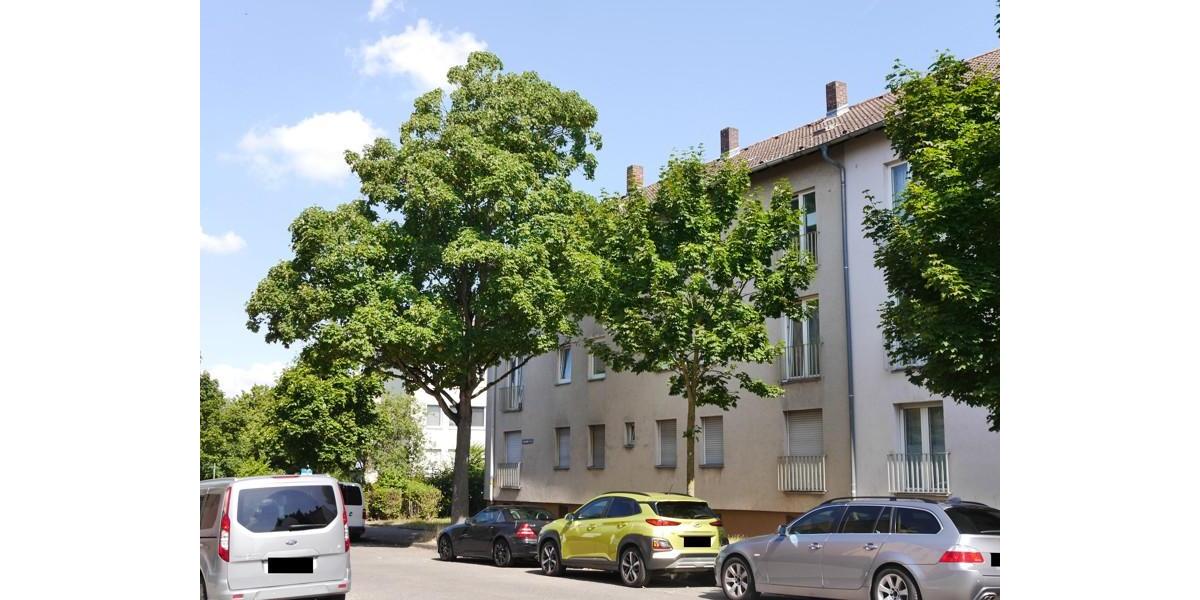 Etagenwohnung Hanau - 3 Zimmer, 63 m&sup2;, 664&euro; | Angebot:26627834