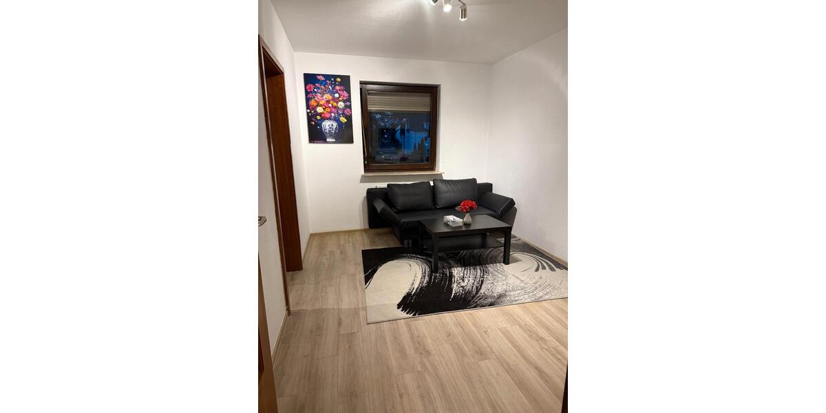 Wohnen auf Zeit Dossenheim - 1 Zimmer, 25 m&sup2;, 850&euro; | Angebot:26257844