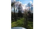 Wohnen auf Zeit Wald-Michelbach Michelbach - 5 Zimmer, 18 m&sup2;, 550&euro; | Angebot:26268401