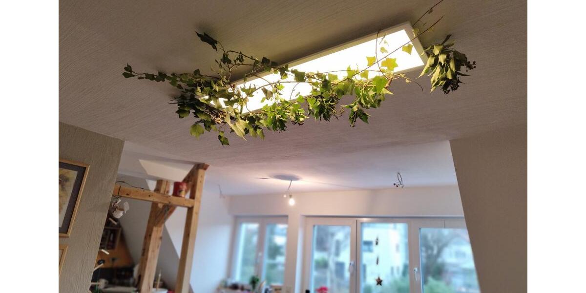 Wohnen auf Zeit Oberursel (Taunus) - 2 Zimmer, 40 m&sup2;, 1.000&euro; | Angebot:25416664