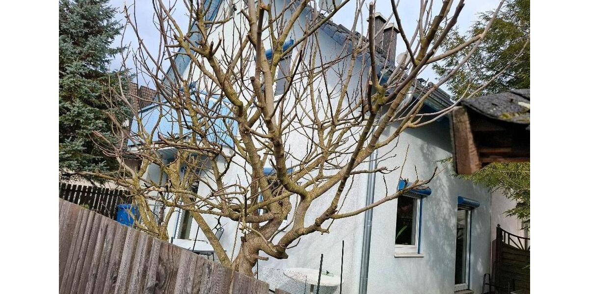 Doppelhaushälfte Vörstetten - 3 Zimmer, 100 m&sup2;, 1.350&euro; | Angebot:26608070