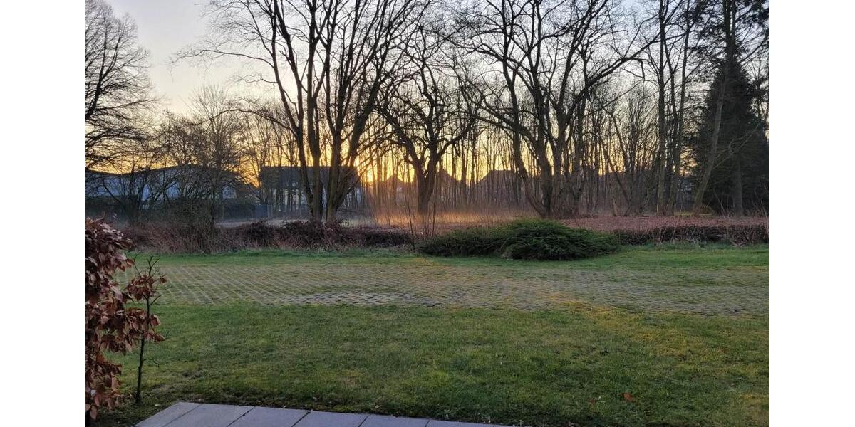 Inkl. Internet(!), zentral, grün, EBK 1 zimmer