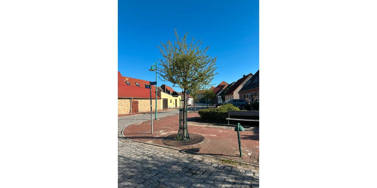 Etagenwohnung Goldberg - 3 Zimmer, 123 m&sup2;, 700&euro; | Angebot:26278025