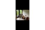 Etagenwohnung Bedburg-Hau Hau - 1 Zimmer, 21 m&sup2;, 530&euro; | Angebot:26608507