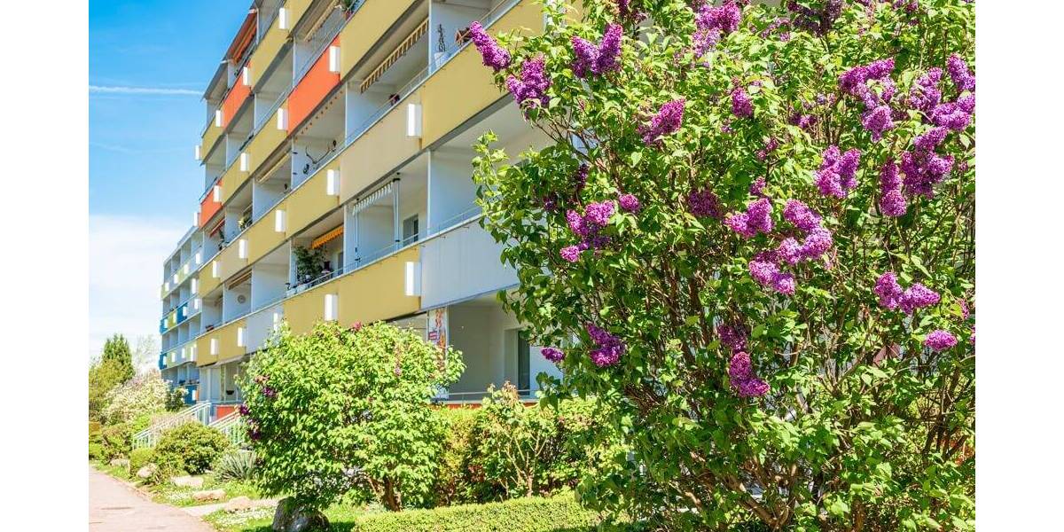 Beliebte 1-Raum-Wohnung in Bestlage 1 zimmer