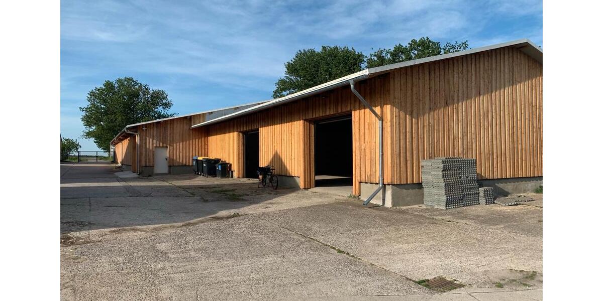 Gewerbeobjekt Wittenberg Lutherstadt Reinsdorf - 600&euro; | Angebot:24300330