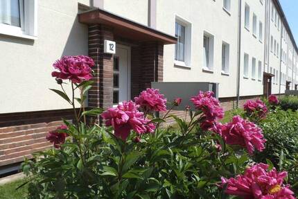 Wohnung Magdeburg Stadtfeld West - 2 Zimmer, 62 m&sup2;, 470&euro; | Angebot:26822005
