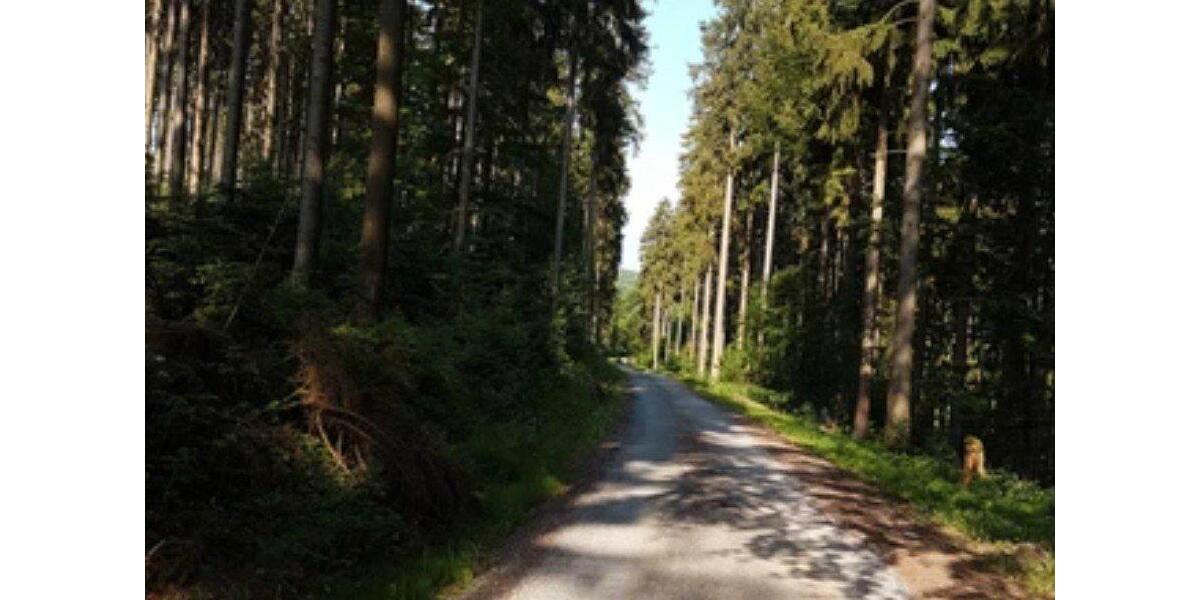 Etagenwohnung Dassel - 4 Zimmer, 86 m&sup2;, 600&euro; | Angebot:26503769