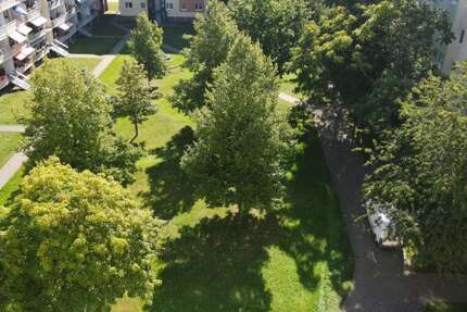 Wohnung zum Mieten in Magdeburg 380,88 € 69.25 m² 3 zimmer