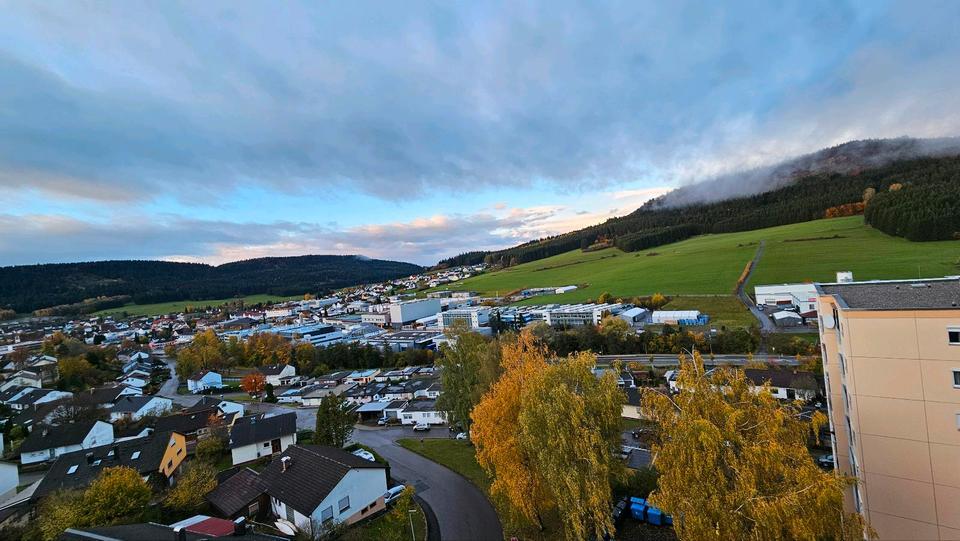 Renovierte 2-Zimmer-Wohnung mit Panoramablick in Wehingen zimmer