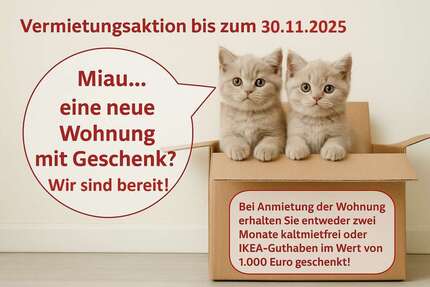 Wohnung zum Mieten in Halle 620 € 81 m² 5 zimmer