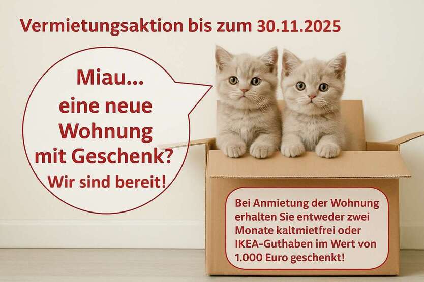 Wohnung zum Mieten in Halle 620 € 81 m² 5 zimmer