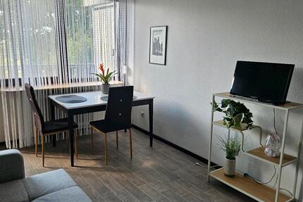 Wohnung Sasbachwalden - 1 Zimmer, 30 m&sup2;, 500&euro; | Angebot:25102719