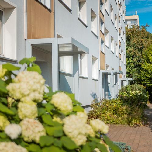 Etagenwohnung Freiberg - 3 Zimmer, 59 m&sup2;, 366&euro; | Angebot:25442718