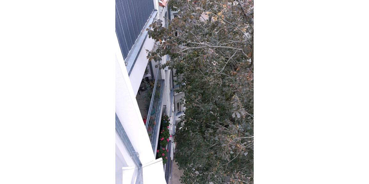 Dachgeschoßwohnung Wittenberg Lutherstadt - 2 Zimmer, 65 m&sup2;, 600&euro; | Angebot:24280391