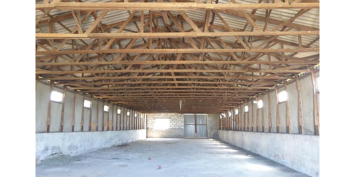 Gewerbeobjekt Jüterbog - 800&euro; | Angebot:24490598