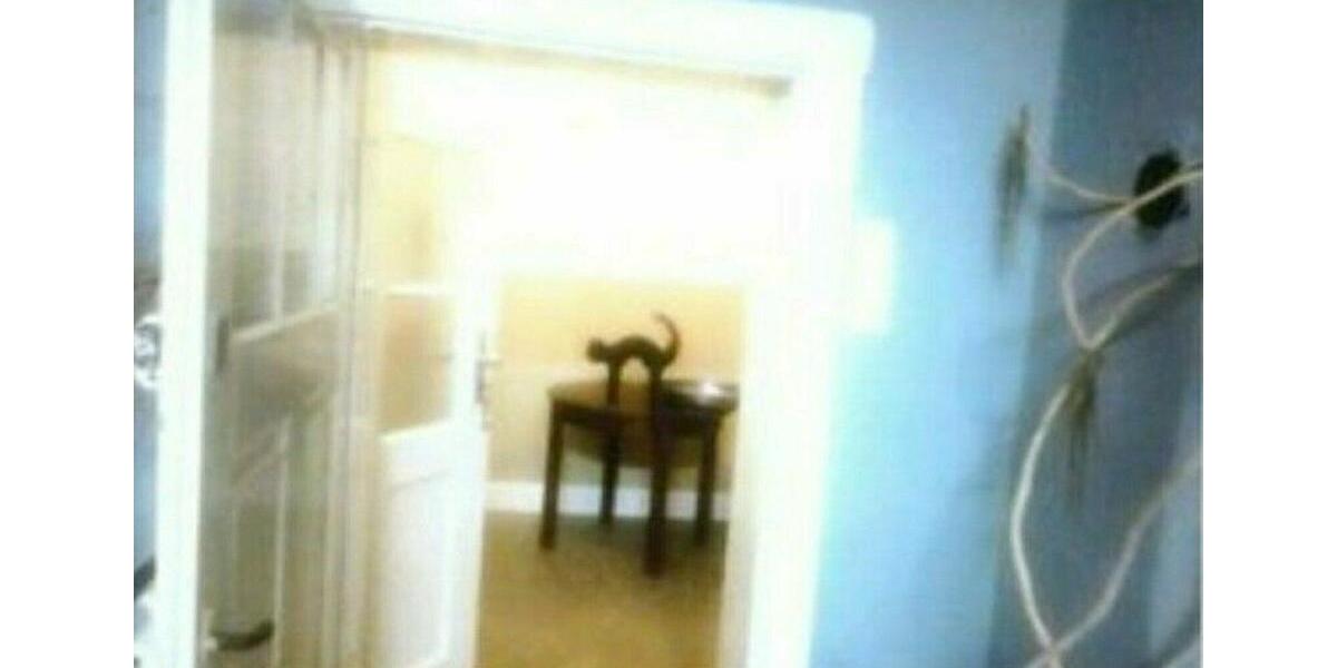 Einfamilienhaus Hessisch Lichtenau - 9 Zimmer, 110 m&sup2;, 950&euro; | Angebot:12321038