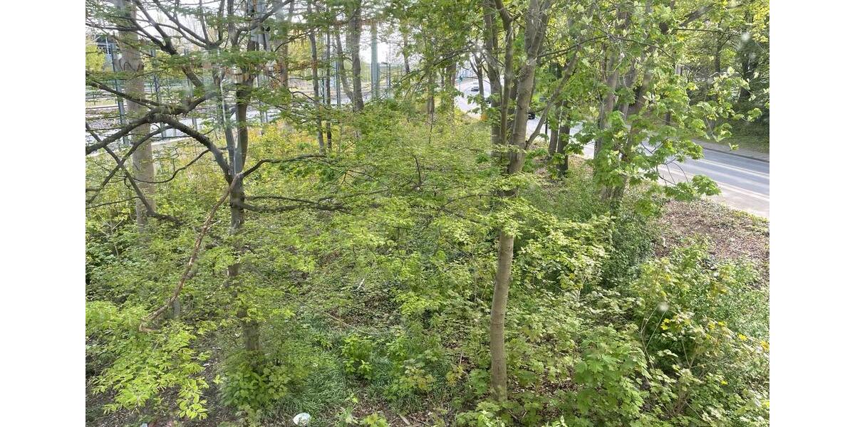 Gewerbeobjekt Troisdorf - 1.450&euro; | Angebot:26321478