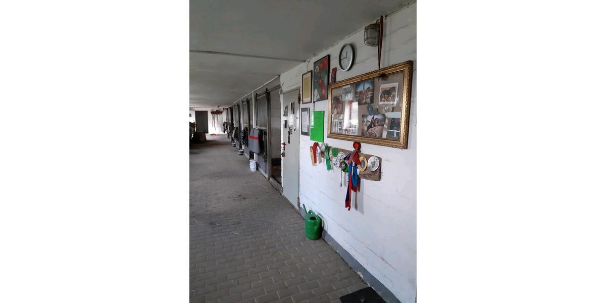 Erdgeschoßwohnung Henstedt-Ulzburg Ulzburg - 1 Zimmer, 30 m&sup2;, 650&euro; | Angebot:26310556