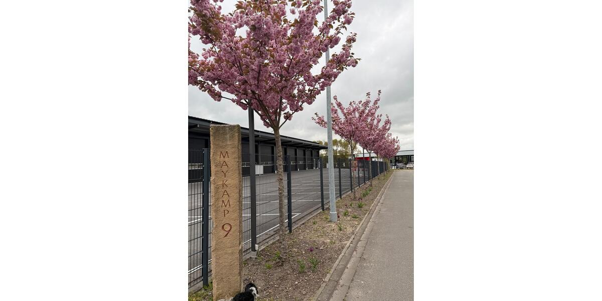 Gewerbeobjekt Rosendahl - 2.000&euro; | Angebot:26302431