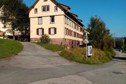 Wohnung Baiersbronn - 2 Zimmer, 60 m&sup2;, 420&euro; | Angebot:25381987