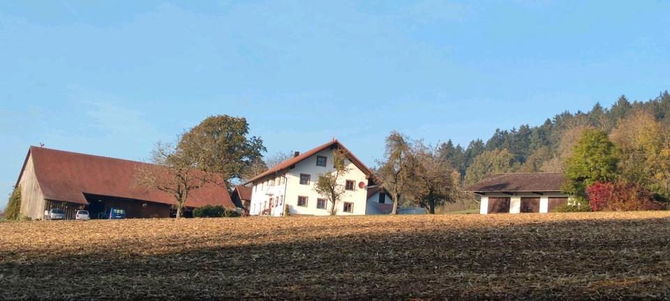 Bauernhaus, Landhaus Schwarzach - 8 Zimmer, 250 m&sup2;, 2.500&euro; | Angebot:25264599