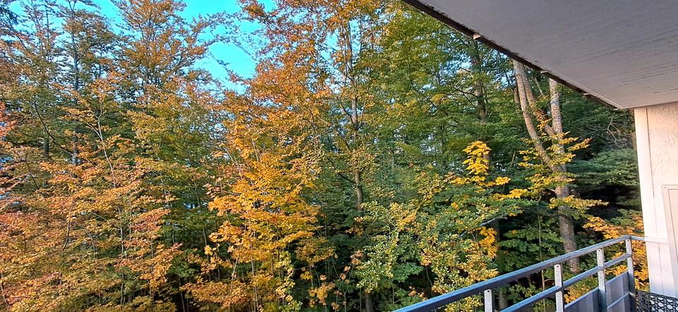 Wohnen auf Zeit Freyung - 1 Zimmer, 38 m&sup2;, 650&euro; | Angebot:25468420