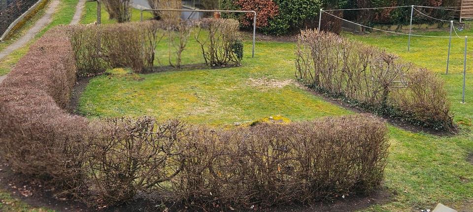 Etagenwohnung Hohenlockstedt - 3 Zimmer, 72 m&sup2;, 520&euro; | Angebot:25931753