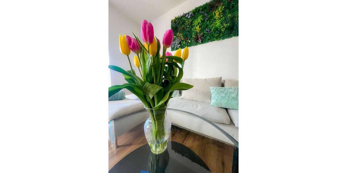 Wohnen auf Zeit Kassel - 3 Zimmer, 80 m&sup2;, 1.250&euro; | Angebot:26580927
