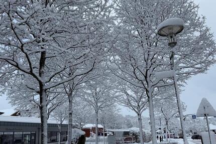 Wohnung in Buchholz 2 zimmer