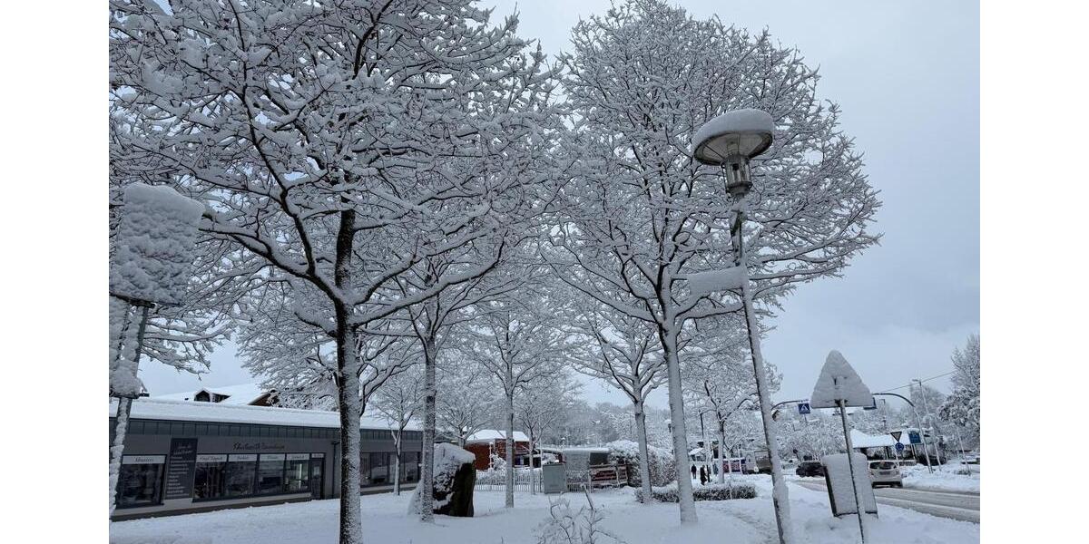 Wohnung in Buchholz 2 zimmer