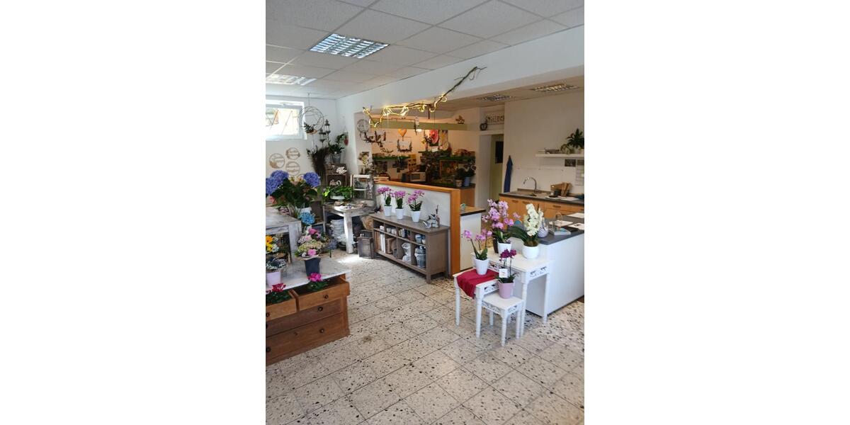 Ladengeschäft in zentraler Lage zu vermieten zimmer