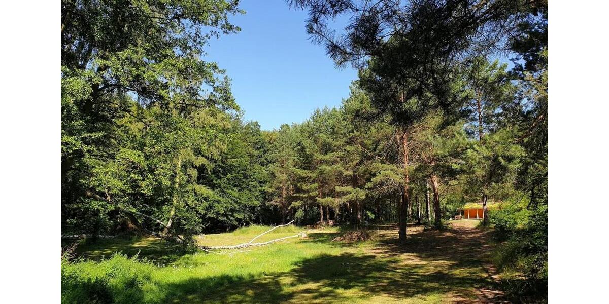 Bungalow Rheinsberg - 3 Zimmer, 55 m&sup2;, 750&euro; | Angebot:24737699