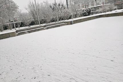 Wohnung Lörrach - 1 Zimmer, 45 m&sup2;, 500&euro; | Angebot:25083179