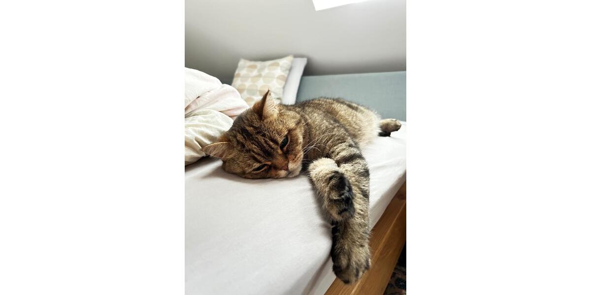 Maisonettenwohnung Kiel Wik - 5 Zimmer, 152 m&sup2;, 1.800&euro; | Angebot:24779352