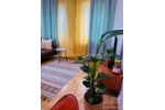 Wohnen auf Zeit Leipzig - 2 Zimmer, 45 m&sup2;, 1.300&euro; | Angebot:25907160